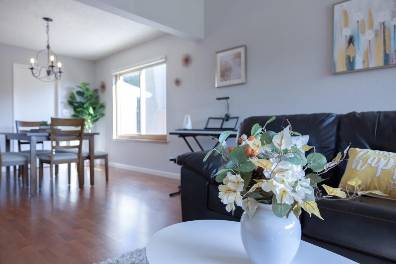 @ Marbella Lane - 4Br Cozy Home In Sj Pool سان خوسيه المظهر الخارجي الصورة